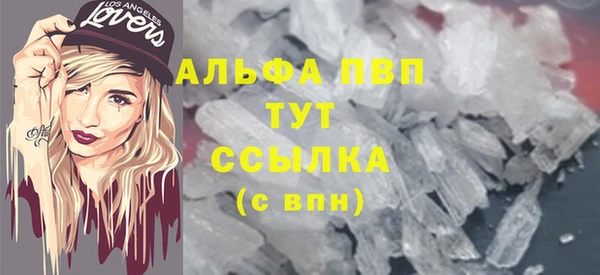 прущие грибы Новозыбков
