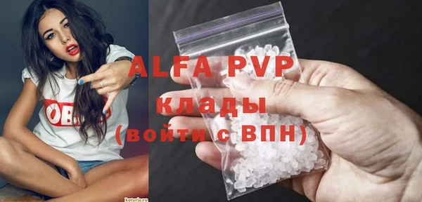 стафф Алзамай