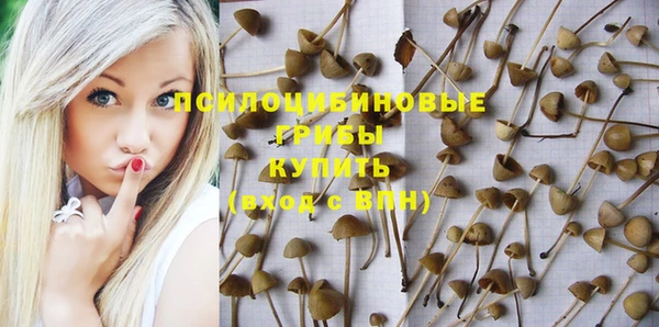 стафф Алзамай